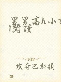 男男高h小说bl阅读