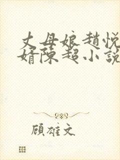 丈母娘赵悦与女婿陈超小说阅读全文封面