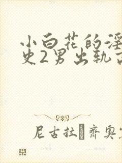 小白花的淫欲情史2男出轨高h小说