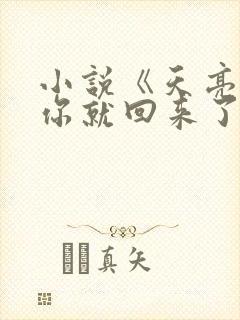 小说《天亮了,你就回来了》封面