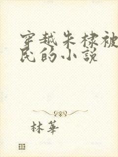 穿越朱棣被贬农民的小说