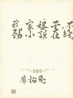 我家娘子,不对劲小说在线免费阅读封面