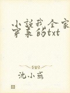 小说我全家都是穿来的txt