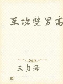 互攻双男高h封面