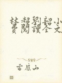 林超刘韶小说免费阅读全文最新章节