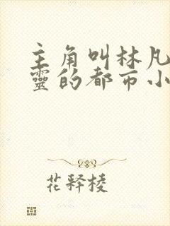 主角叫林凡赵清灵的都市小说