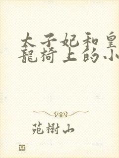 太子妃和皇上在龙椅上的小说叫什么