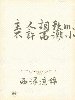 主人调教m忍着不许高潮小说封面