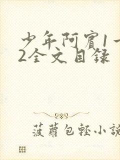 少年阿宾1一72全文目录