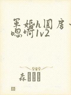 军婚h圆房～h嗯啊1v2