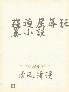 强迫屈辱玩弄粗暴小说