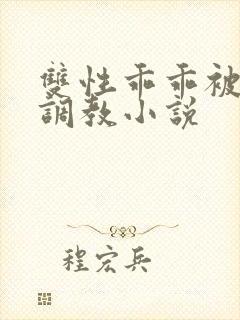双性乖乖被灌满调教小说封面