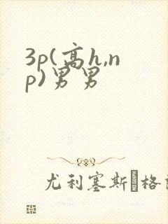 3p(高h,np)男男封面