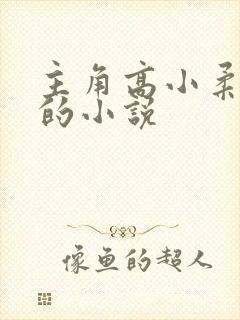 主角高小柔小刚的小说