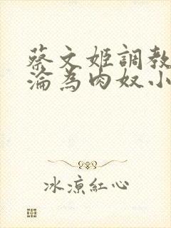 蔡文姬调教喷水沦为肉奴小说封面