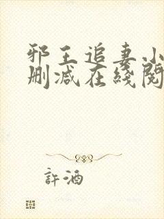 邪王追妻小说无删减在线阅读