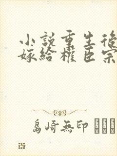 小说重生后绝不嫁给权臣宗肆在线阅读