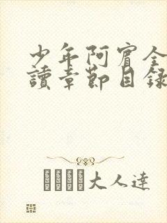 少年阿宾全文阅读章节目录