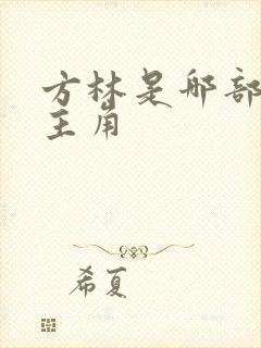 方林是哪部小说主角