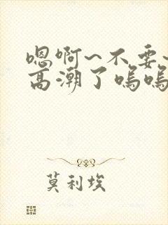 嗯啊~不要~h高潮了呜呜封面