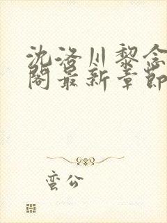 沈洛川黎念笔趣阁最新章节更新完了