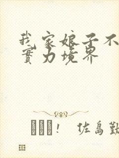 我家娘子不对劲实力境界