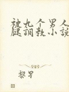 被九个男人扒开腿调教小说