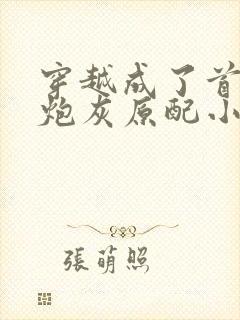 穿越成了首辅的炮灰原配小说