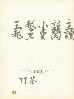 王越小说主角王越免费阅读正版