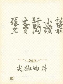 张文轩小说全文免费阅读最新章节封面