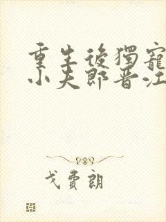 重生后独宠灾星小夫郎晋江