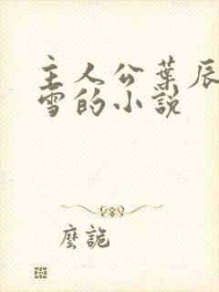 主人公叶辰夏若雪的小说