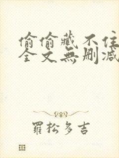 偷偷藏不住小说全文无删减免费阅读