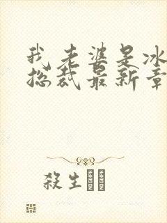 我老婆是冰山女总裁最新章节小说