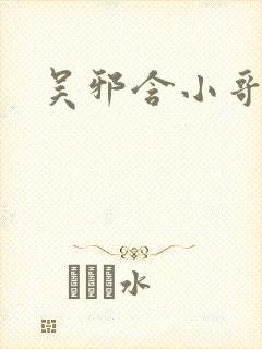 吴邪含小哥分身