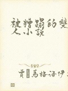 被糟蹋的双性美人小说封面