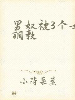 男奴被3个女王调教