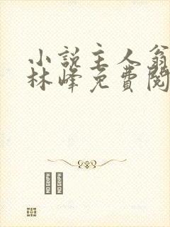 小说主人翁宁欣林峰免费阅读封面