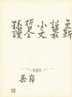 孙哲小说免费阅读全文最新章节