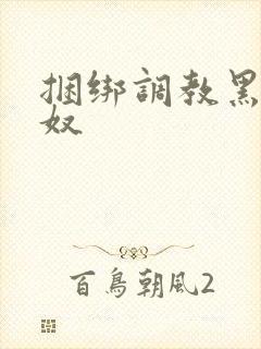 捆绑调教黑丝女奴