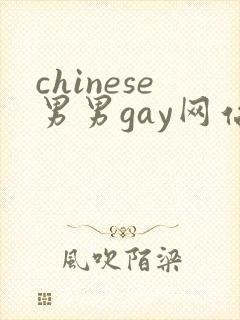 chinese男男gay网站视频