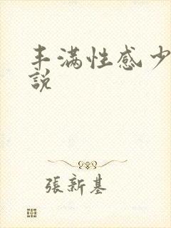 丰满性感少妇小说