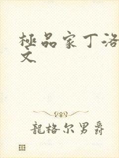 极品家丁洛凝全文