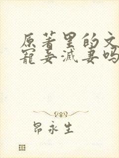 原著里的文炎敬宠妾灭妻吗