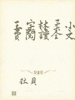 王宇林柔小说免费阅读全文最新章节