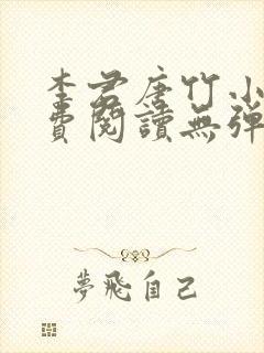 李君唐竹小说免费阅读无弹窗封面