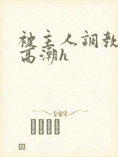 被主人调教当众高潮h