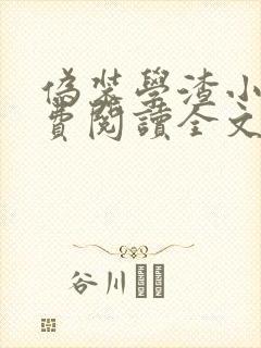 伪装学渣小说免费阅读全文无删减封面