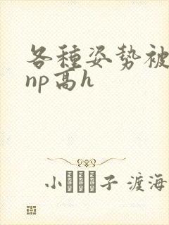 各种姿势被学长np高h封面