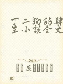 丁二狗的肆意人生小说全文听